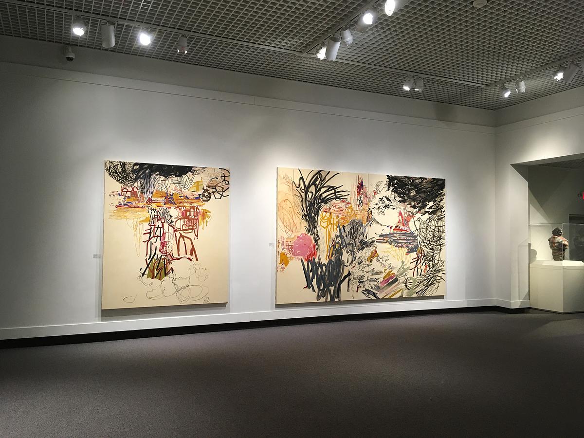 contemporary art, contemporary abstract painting, abstract painting, museum of arts and sciences