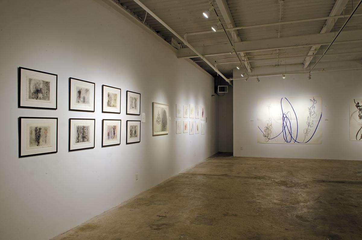 Rocio Rodriguez : Thirty Years on Paper at MocaGA. 103 Works on paper on exhibit. 
