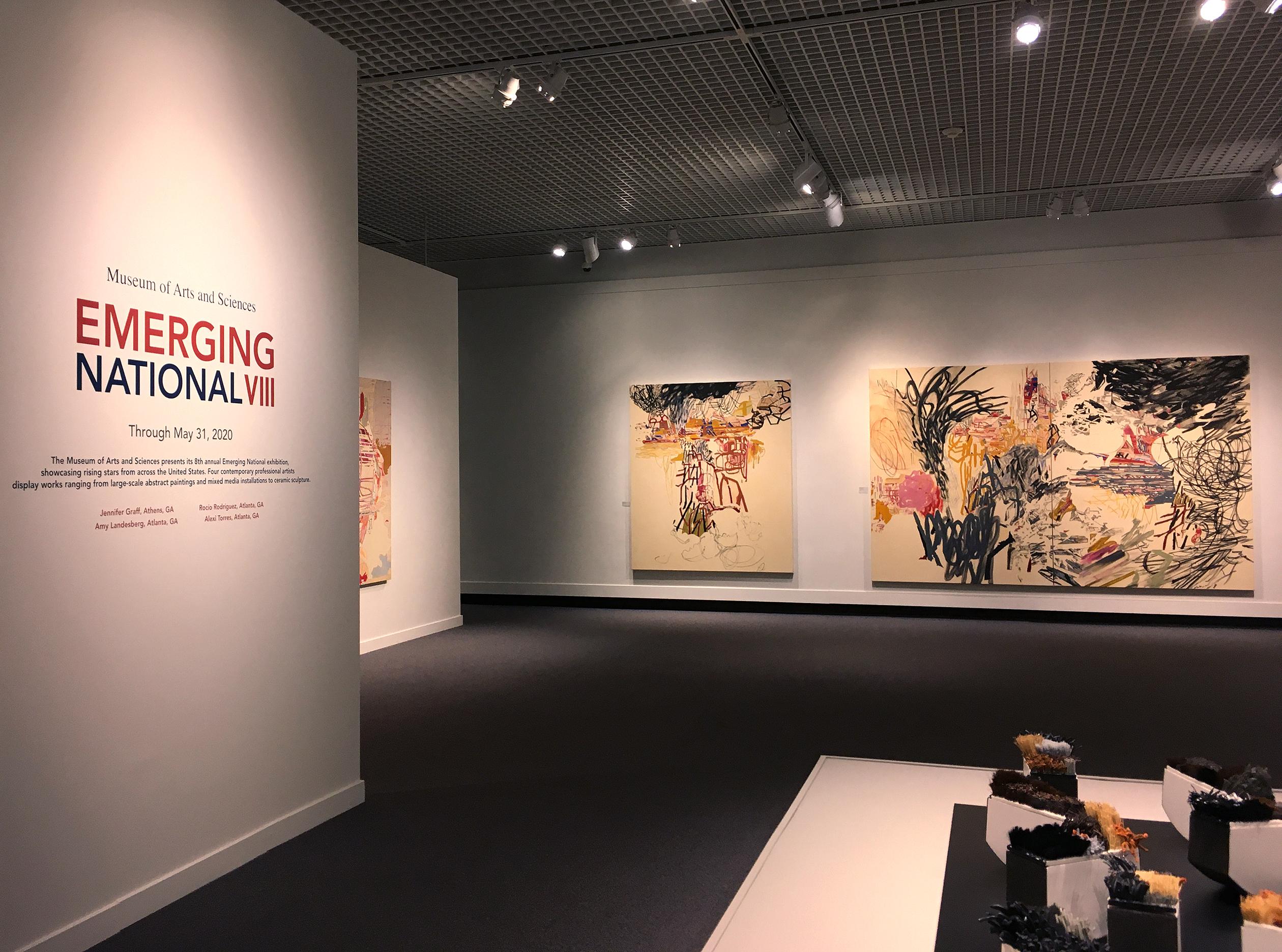 contemporary painting, painting, museum of arta and sciences