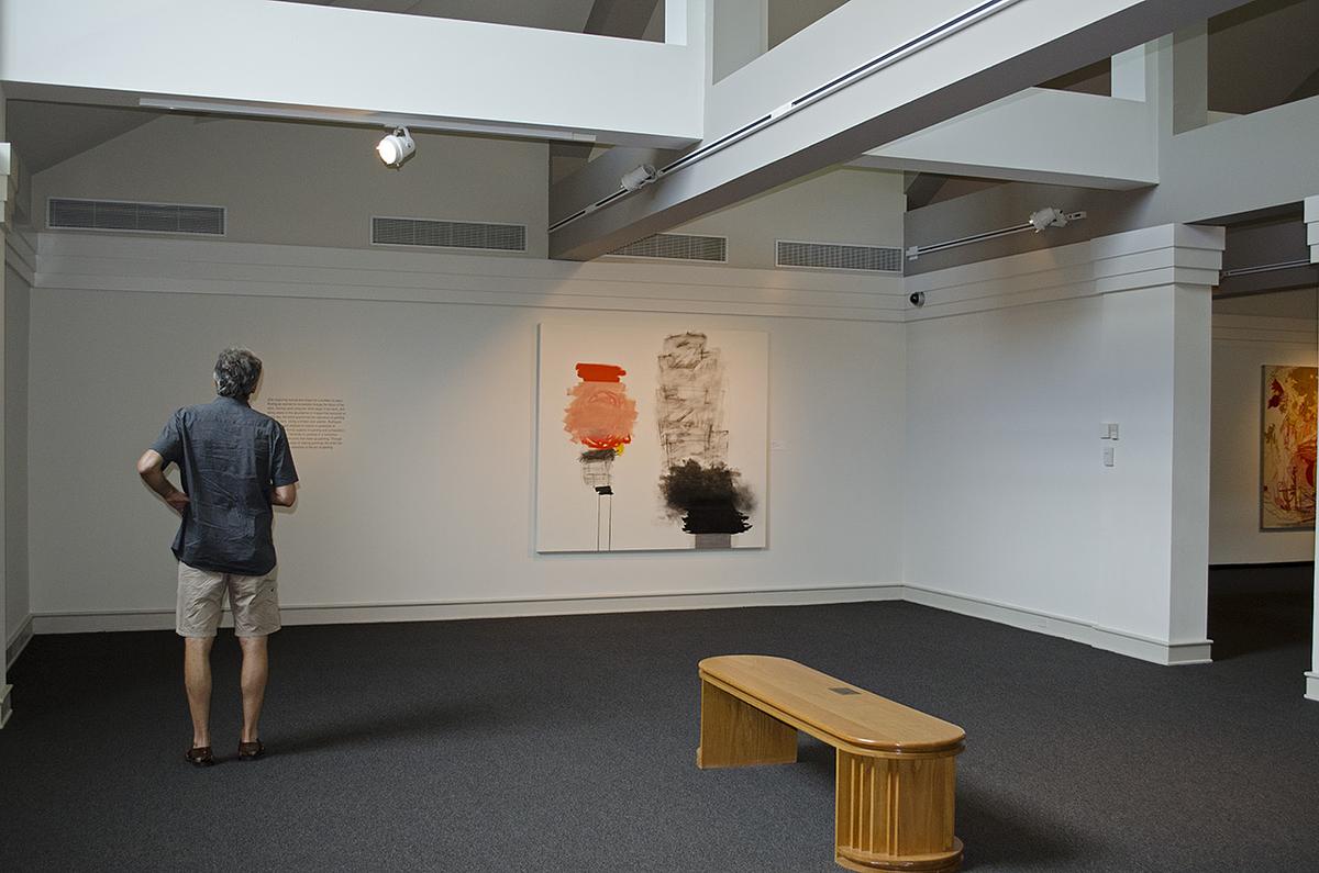 Divergent Fictions, A Survey of Works from 1988-2012, Columbus Museum, Columbus, GA
